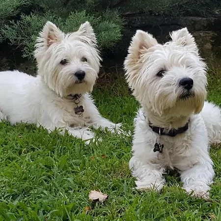 Stone House 1898 桑加拉达