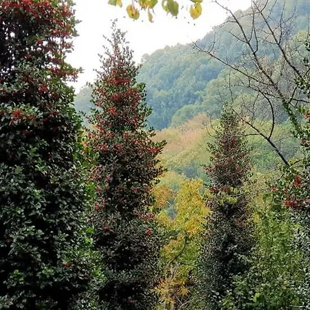 Stone House 1898 度假居
