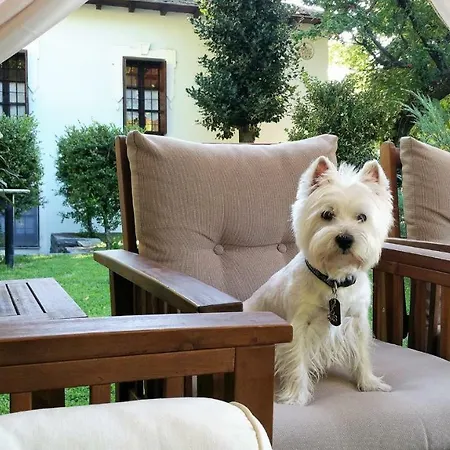 度假居 Stone House 1898