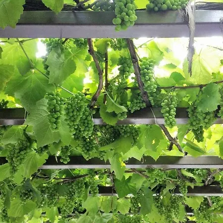 度假居 Stone House 1898