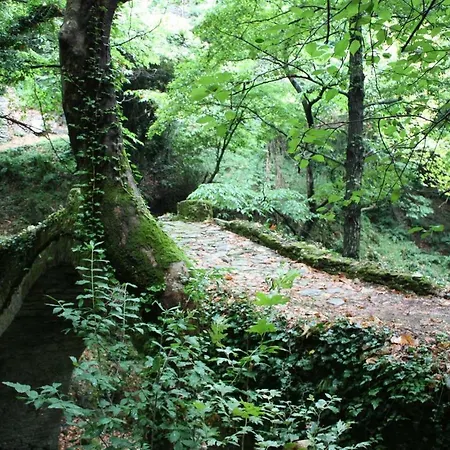 Stone House 1898 Tsagarada