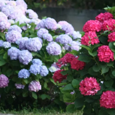 Stone House 1898 桑加拉达