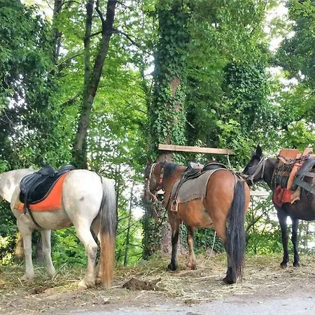 Stone House 1898 度假居 桑加拉达