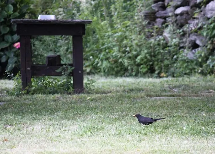 Stone House 1898 Nyaraló *