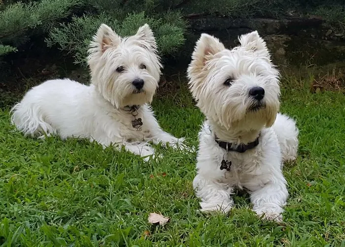 Stone House 1898 Tsagarada