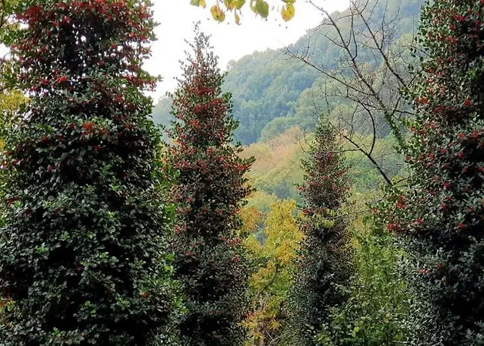 Stone House 1898 Nyaraló