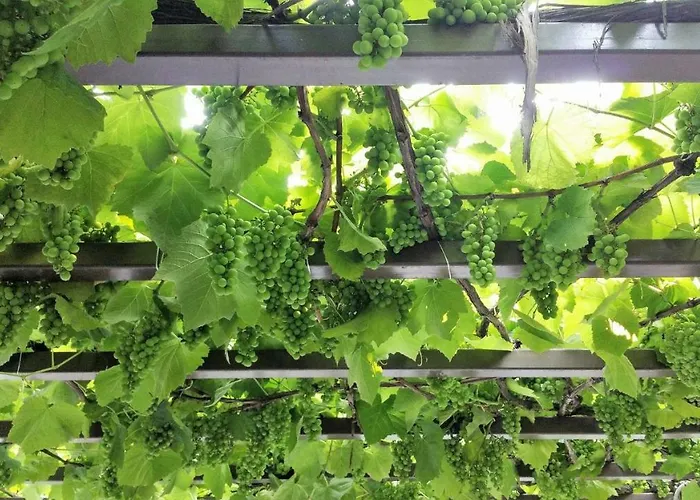 Holiday home Stone House 1898