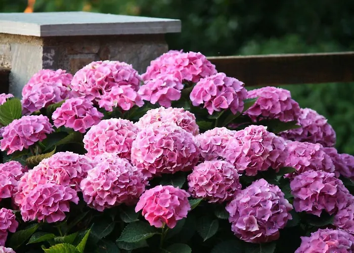 Holiday home Stone House 1898 Tsagarada