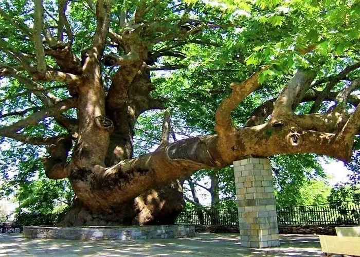 Stone House 1898 Holiday home *