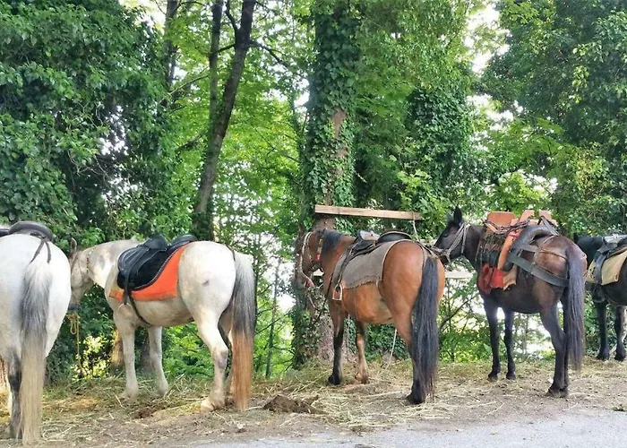 Stone House 1898 Holiday home Tsagarada